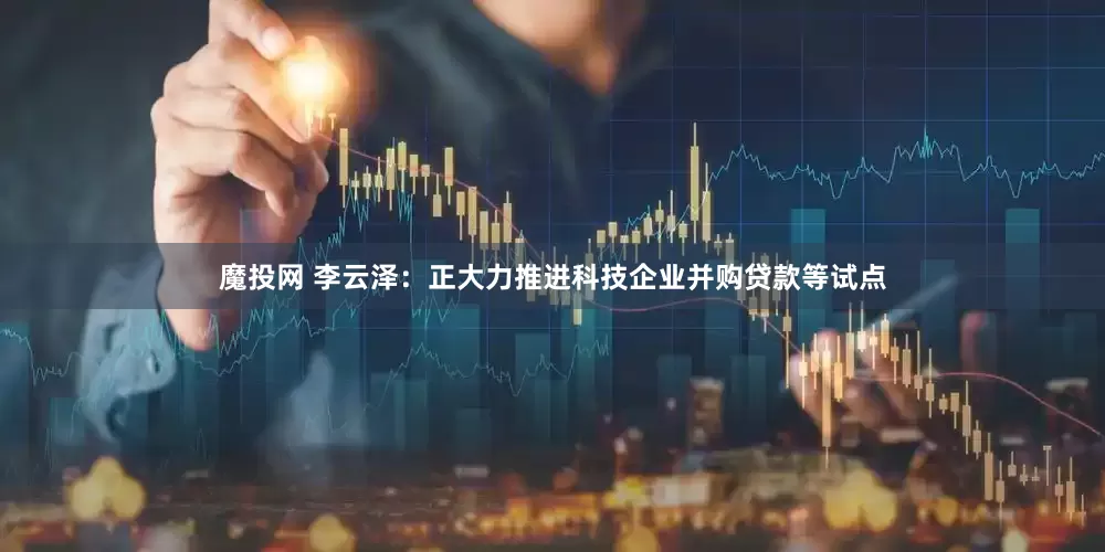 魔投网 李云泽：正大力推进科技企业并购贷款等试点