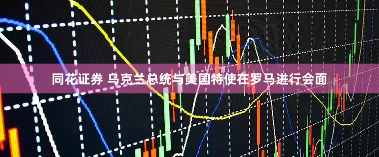 同花证券 乌克兰总统与美国特使在罗马进行会面